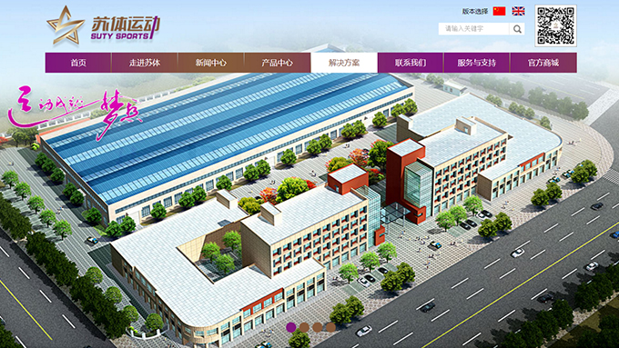 江苏苏体运动科技有限公司网站建设