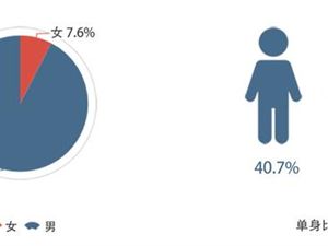 2018年中国程序员薪资生活调查报告